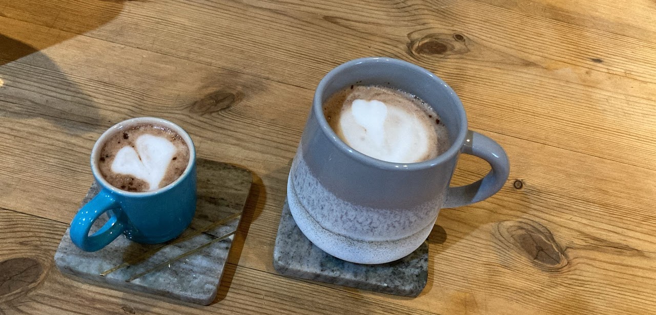 Terms and Conditions